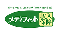 料率区分型収入保障保険（無解約返戻金型）,定期保険,メディフィット収入保障,商品詳細