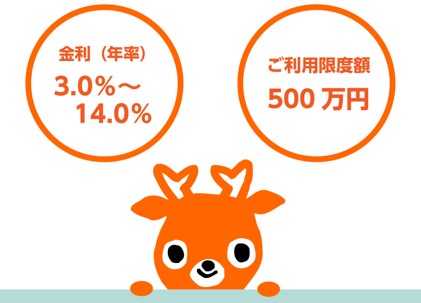 金利（年率）3.0％～14.0％、ご利用限度額500万円